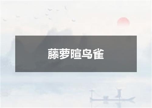 藤萝暄鸟雀