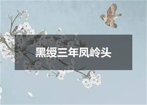 黑绶三年凤岭头