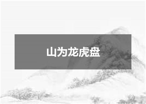 山为龙虎盘