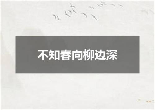 不知春向柳边深