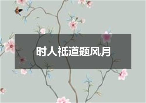 时人祗道题风月