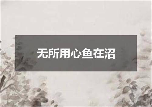 无所用心鱼在沼