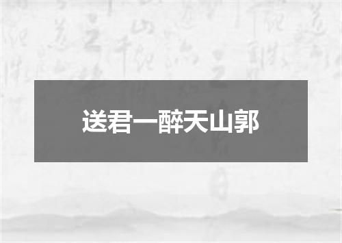送君一醉天山郭