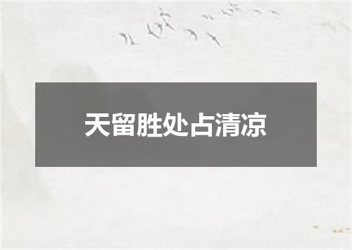 天留胜处占清凉