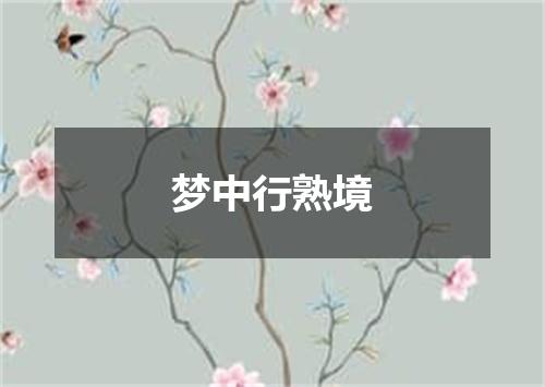 梦中行熟境