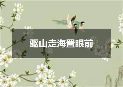 驱山走海置眼前