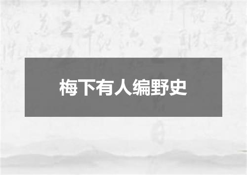 梅下有人编野史