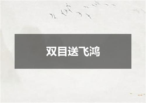 双目送飞鸿