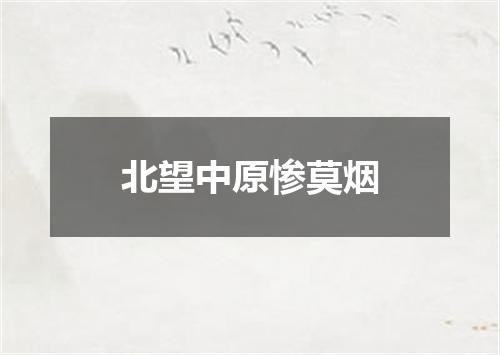 北望中原惨莫烟