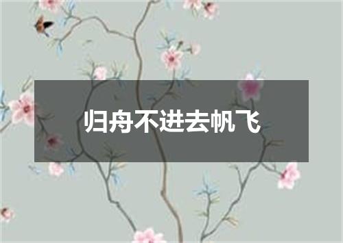 归舟不进去帆飞