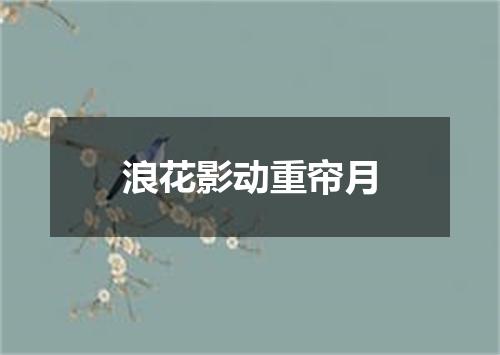 浪花影动重帘月