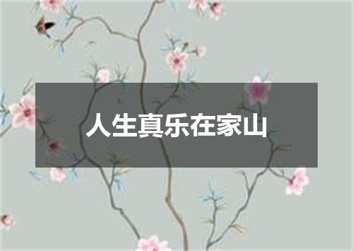 人生真乐在家山
