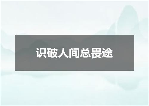 识破人间总畏途