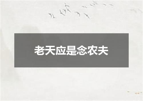 老天应是念农夫