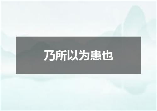 乃所以为患也