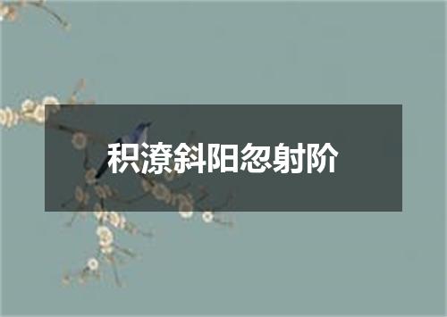 积潦斜阳忽射阶