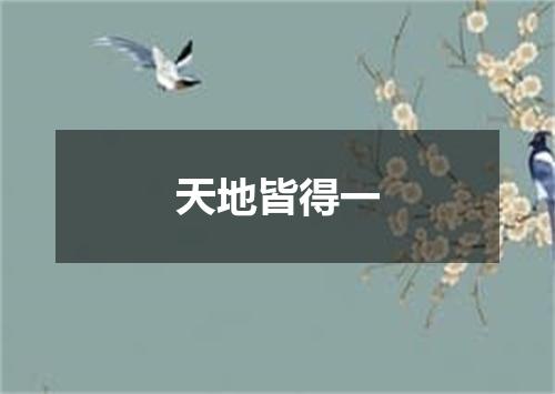 天地皆得一