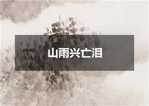 山雨兴亡泪