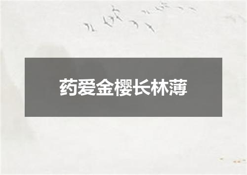 药爱金樱长林薄