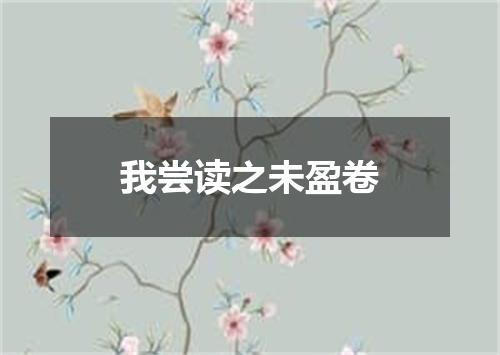 我尝读之未盈卷