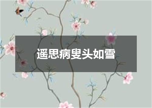 遥思病叟头如雪