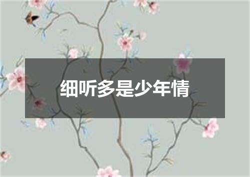 细听多是少年情