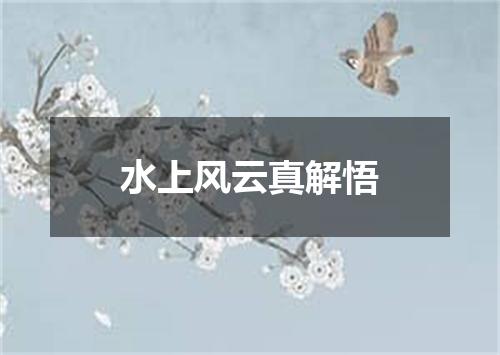 水上风云真解悟