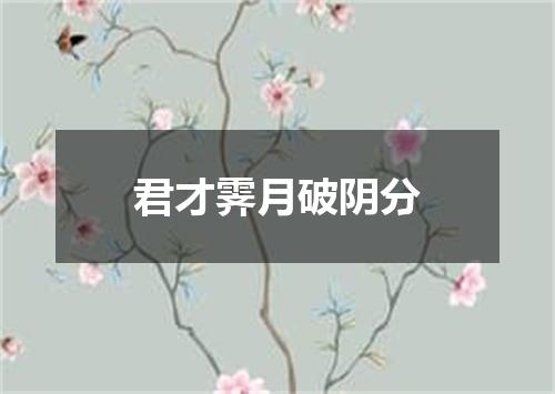 君才霁月破阴分