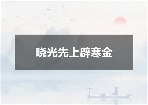 晓光先上辟寒金