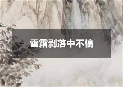 雪霜剥落中不槁