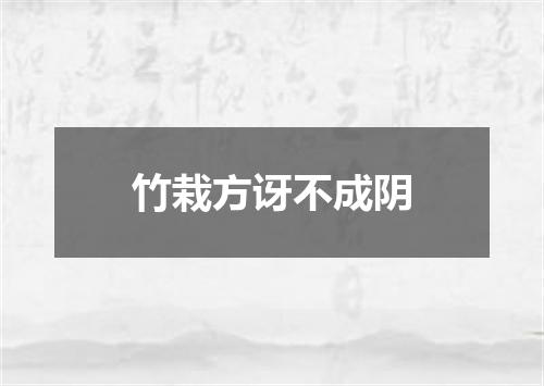 竹栽方讶不成阴