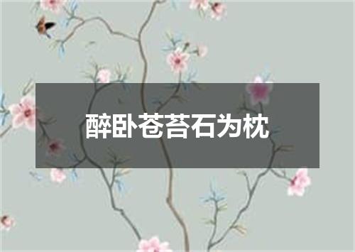 醉卧苍苔石为枕