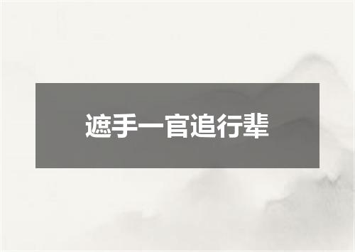 遮手一官追行辈