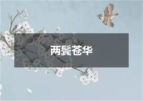 两鬓苍华