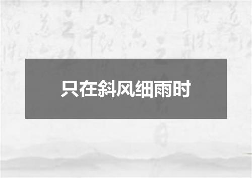 只在斜风细雨时
