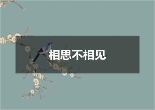 相思不相见