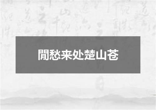 閒愁来处楚山苍