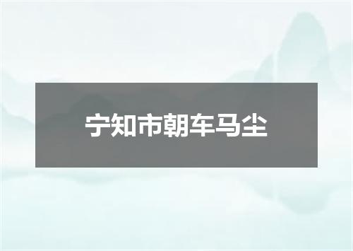 宁知市朝车马尘