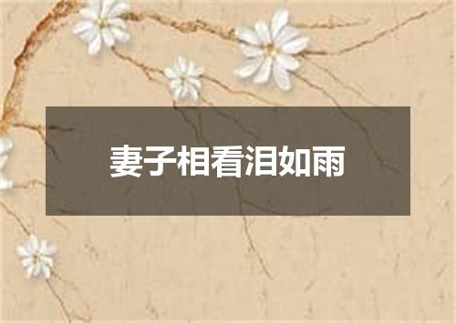 妻子相看泪如雨