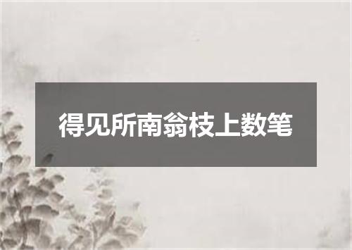 得见所南翁枝上数笔