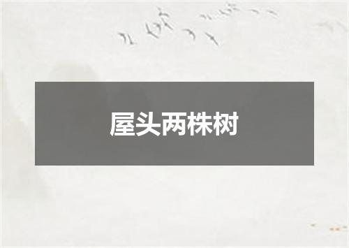 屋头两株树