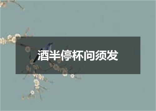 酒半停杯问须发