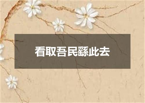 看取吾民繇此去