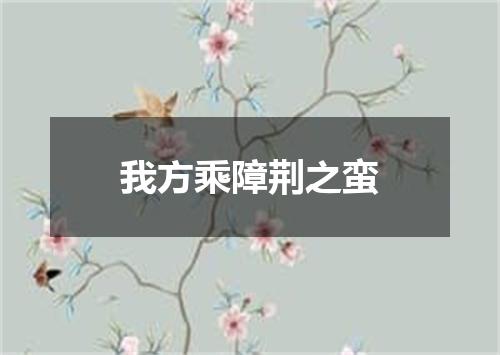 我方乘障荆之蛮