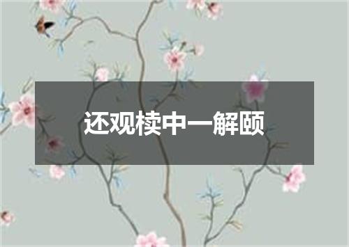 还观椟中一解颐