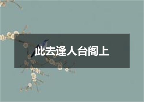此去逢人台阁上