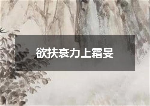 欲扶衰力上霜旻