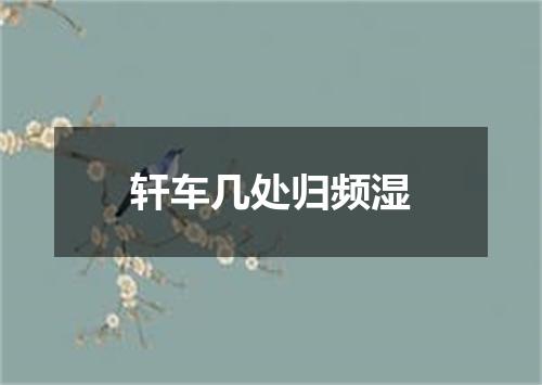 轩车几处归频湿