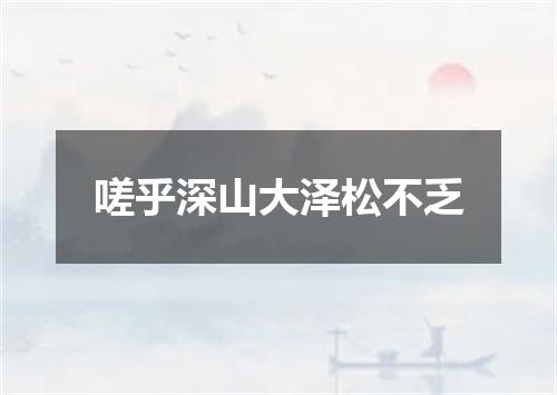 嗟乎深山大泽松不乏