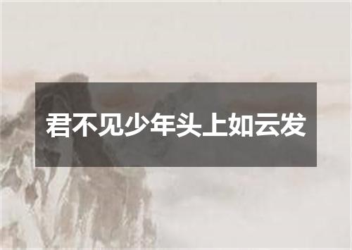 君不见少年头上如云发